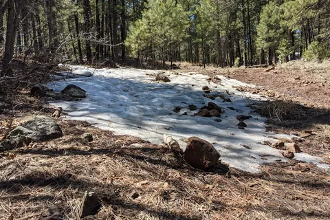 Woody Mountain Campground