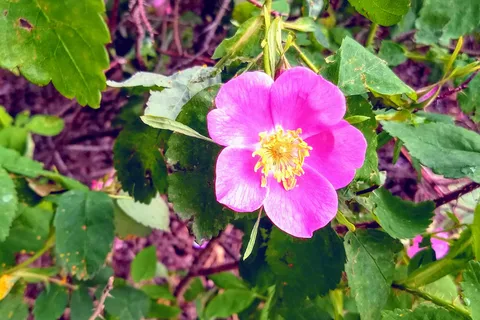 Clearwater State Recreation Site
