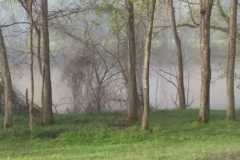 Cumberland River Campground
