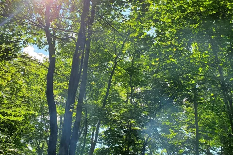 Wolf Run State Park