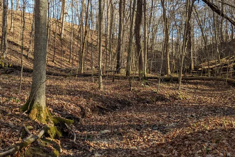 Wolf Run State Park