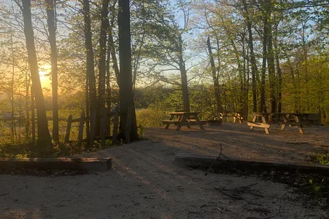 Lakeview RV & Cabins