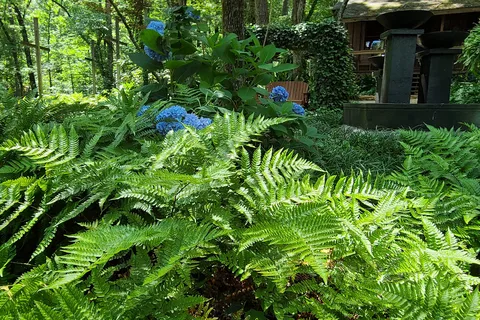 Creekwood Gardens RV Park