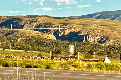 Farmhouse RV Resort at Royal Gorge