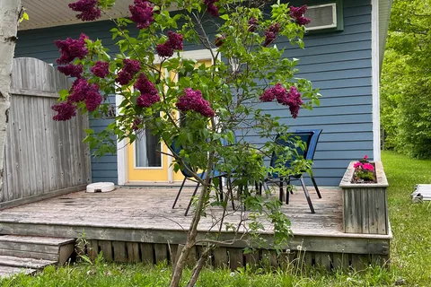 White Sands Cottages and Campground