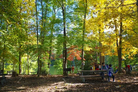 Houck - Cunningham Falls State Park