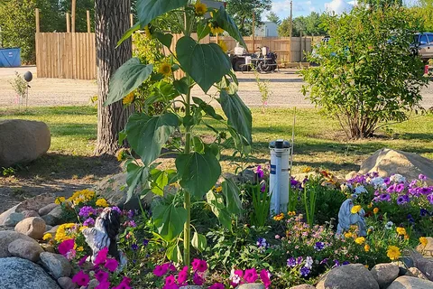 Royal Oaks RV Park