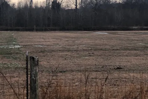 Peaceful Acres at Plato's Branch