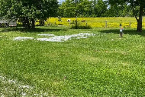 Peaceful Acres at Plato's Branch