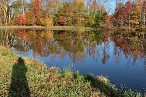 Peaceful Acres at Plato's Branch
