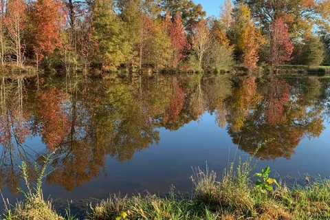 Peaceful Acres at Plato's Branch