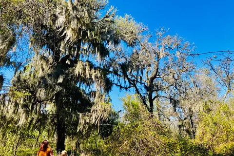 Main - Stephen F Austin State Park and Historic Site
