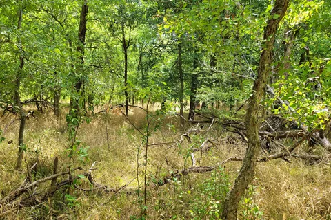 Main - Stephen F Austin State Park and Historic Site