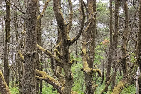 Twin Harbors State Park