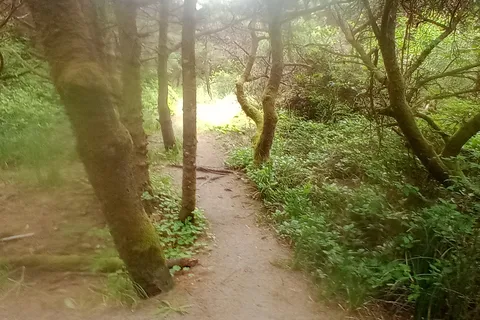 Twin Harbors State Park
