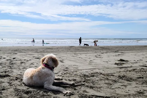 Twin Harbors State Park