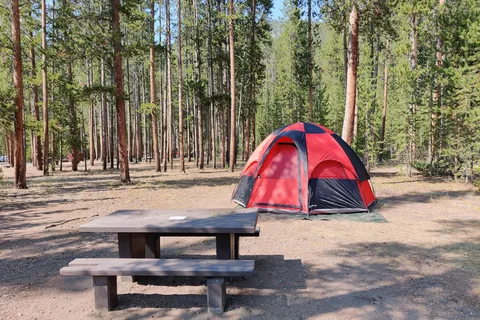 Madison - Yellowstone National Park