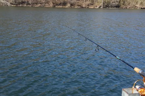 Taneycomo Lakefront Resort- RV Park