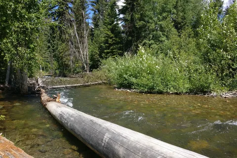 Logging Creek Campground - Glacier National Park