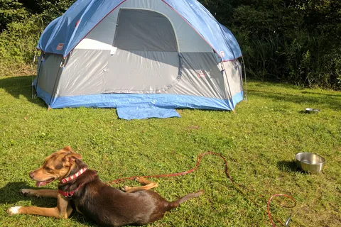 Fawn Lake Campground