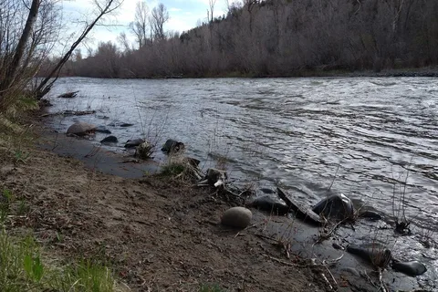 Pagosa Riverside Campground