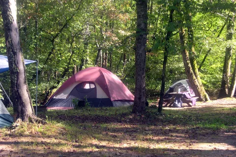 Jenny's Creek Family Campground