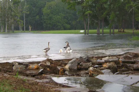 Omega Farms RV Park