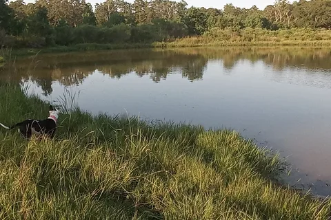 Omega Farms RV Park