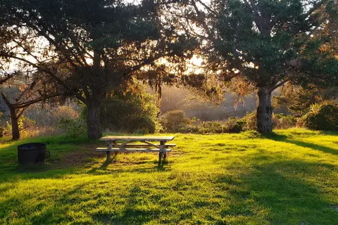 San Simeon Creek - Hearst San Simeon State Park