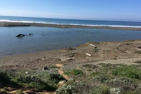 San Simeon Creek - Hearst San Simeon State Park
