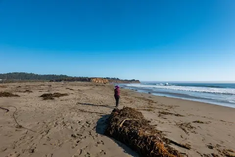 San Simeon Creek - Hearst San Simeon State Park