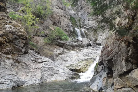 Fintry Provincial Park and Protected Area