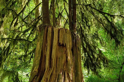Twanoh State Park