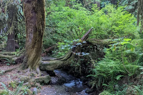 Twanoh State Park
