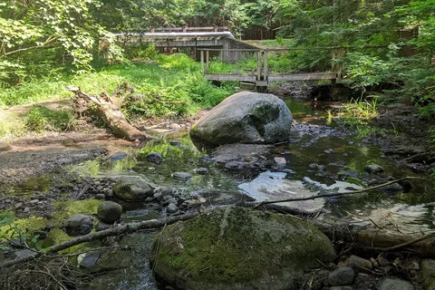 Otter River State Forest Entrance