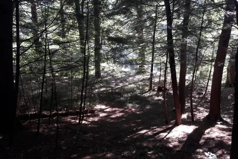 Otter River State Forest Entrance