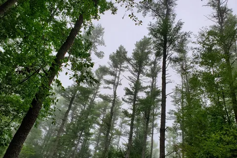 Otter River State Forest Entrance