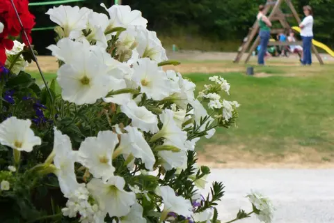 Diamond Point RV Park