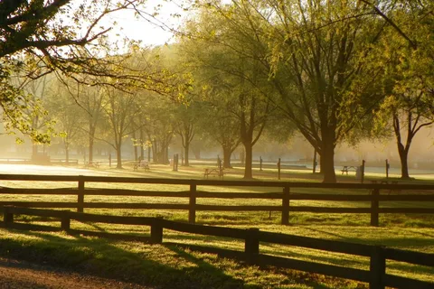 Watermelon Park and RV Campground