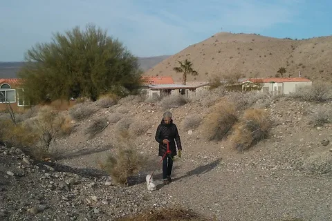 Fiesta RV Resort