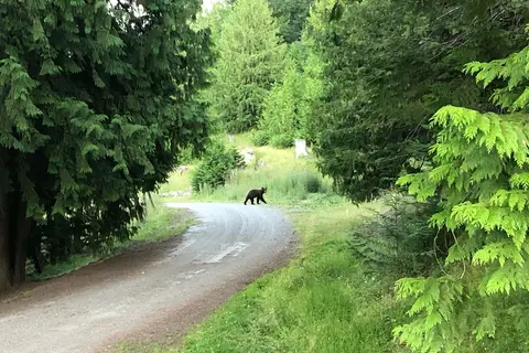 Washtock Family Campground