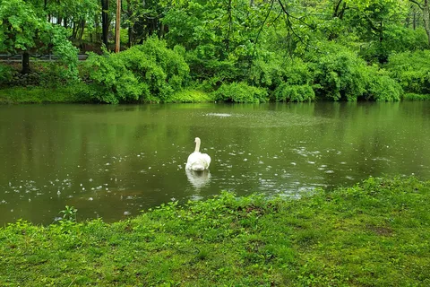 Brandywine Creek Campground