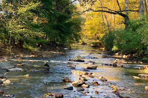 Brandywine Creek Campground