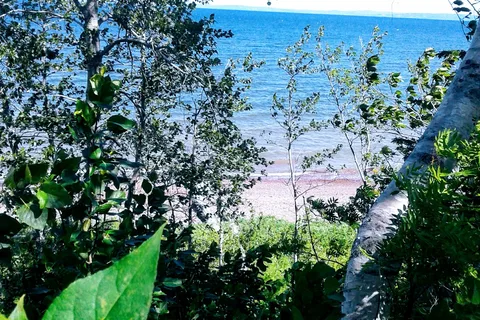 Jacquet River Campground