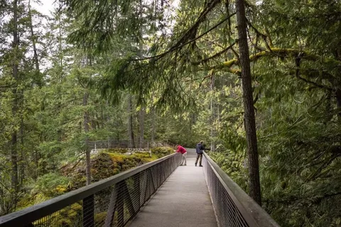 Englishman River Falls Provincial Park