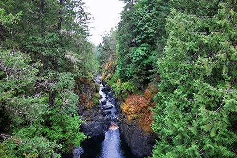 Englishman River Falls Provincial Park