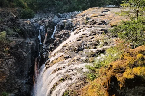 Englishman River Falls Provincial Park