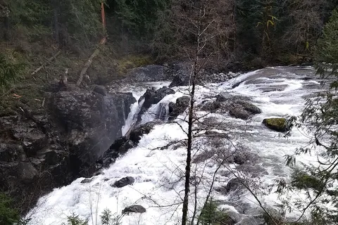 Englishman River Falls Provincial Park