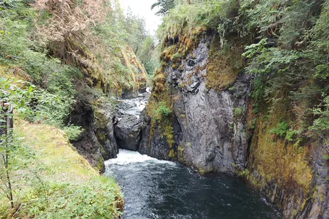 Englishman River Falls Provincial Park