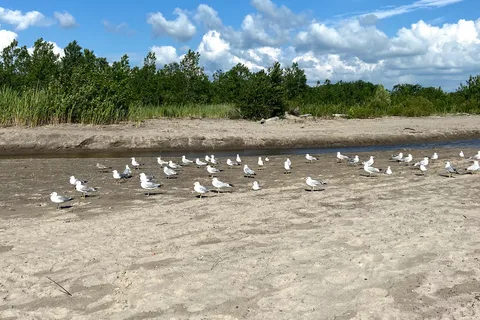 Port Burwell Provincial Park